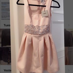 Brand New Embellished Debutante Dress in Baby Pink